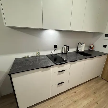 Lofty Nad Warta Apartment Poznan