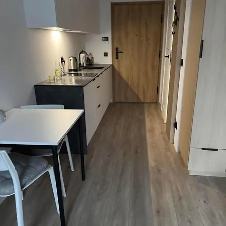 Apartment Lofty Nad Warta *