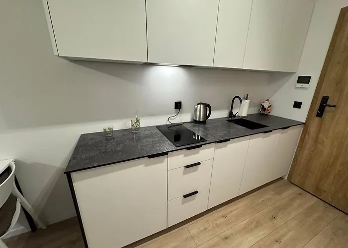 Lofty Nad Warta Apartment Poznan